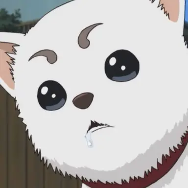 Profile image of 사다하루