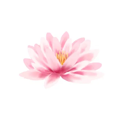 Profile image of 蓮