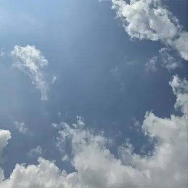 Profile image of 일진