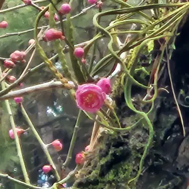 Profile image of 잠뜰