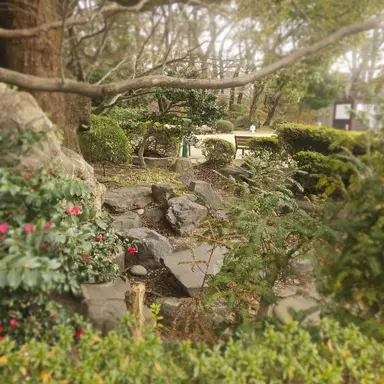 Profile image of 공룡