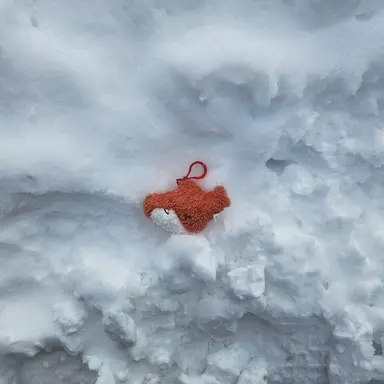 Profile image of 라더