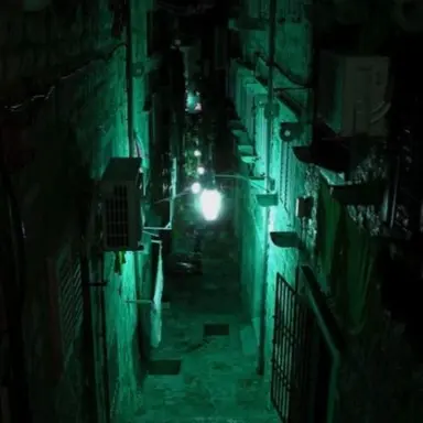 Profile image of 정공룡