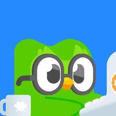 Profile image of Duolingo