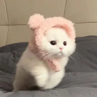 DottedArm2423의 남치니 한유진