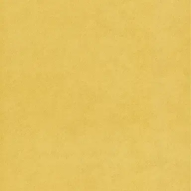 Profile image of 三好