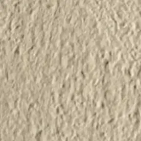 Profile image of 원필