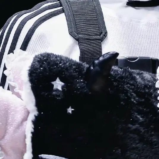 CandidPet0773의 양정원