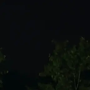 Profile image of 강태혅