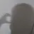 위나히