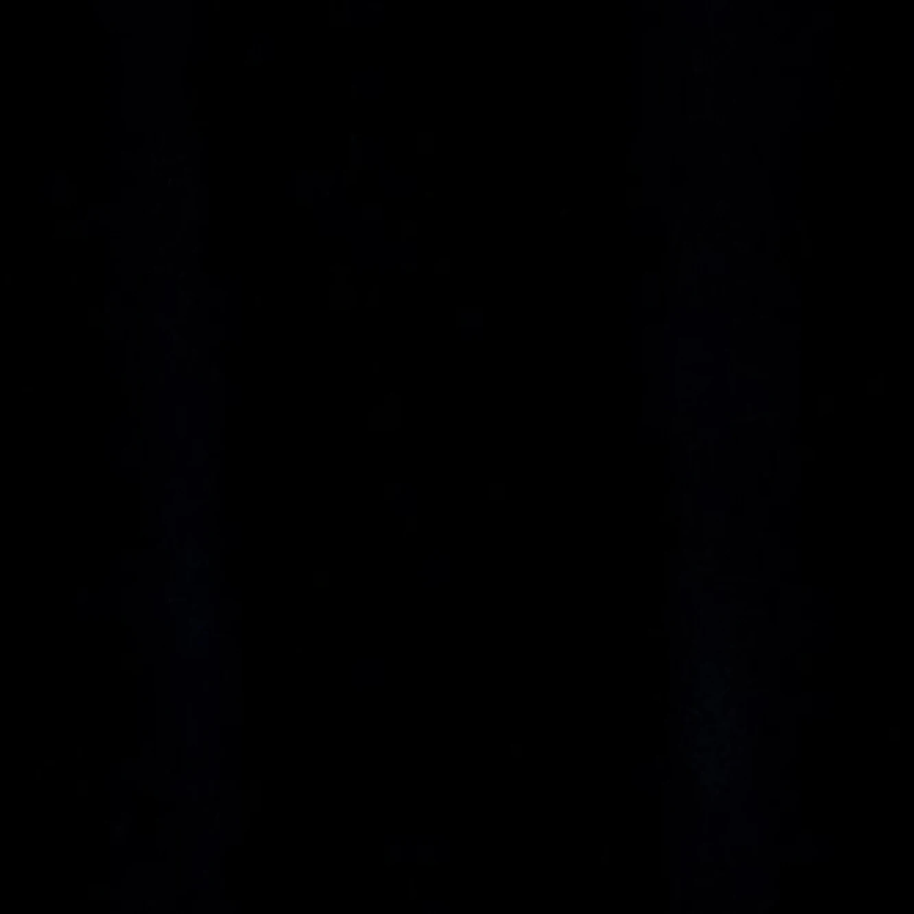 스트레이키즈