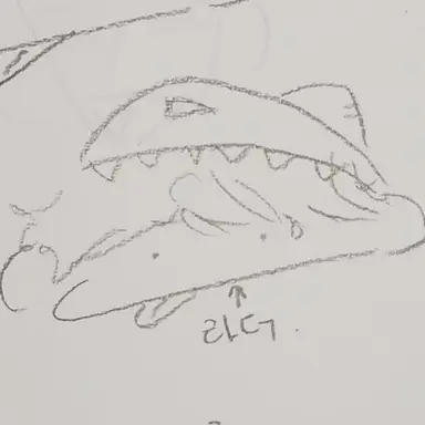 Profile image of 라더