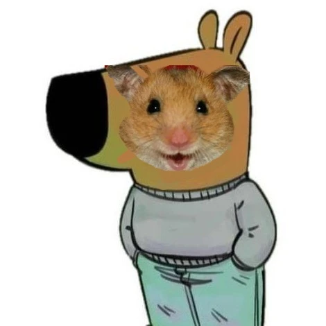 지붕뚫고 하이킥