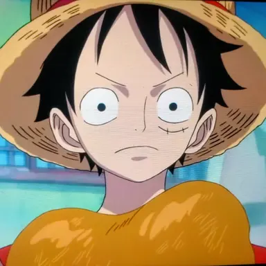 Profile image of ルフィ