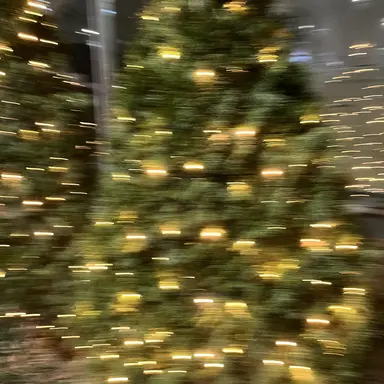 Profile image of 김 운 학