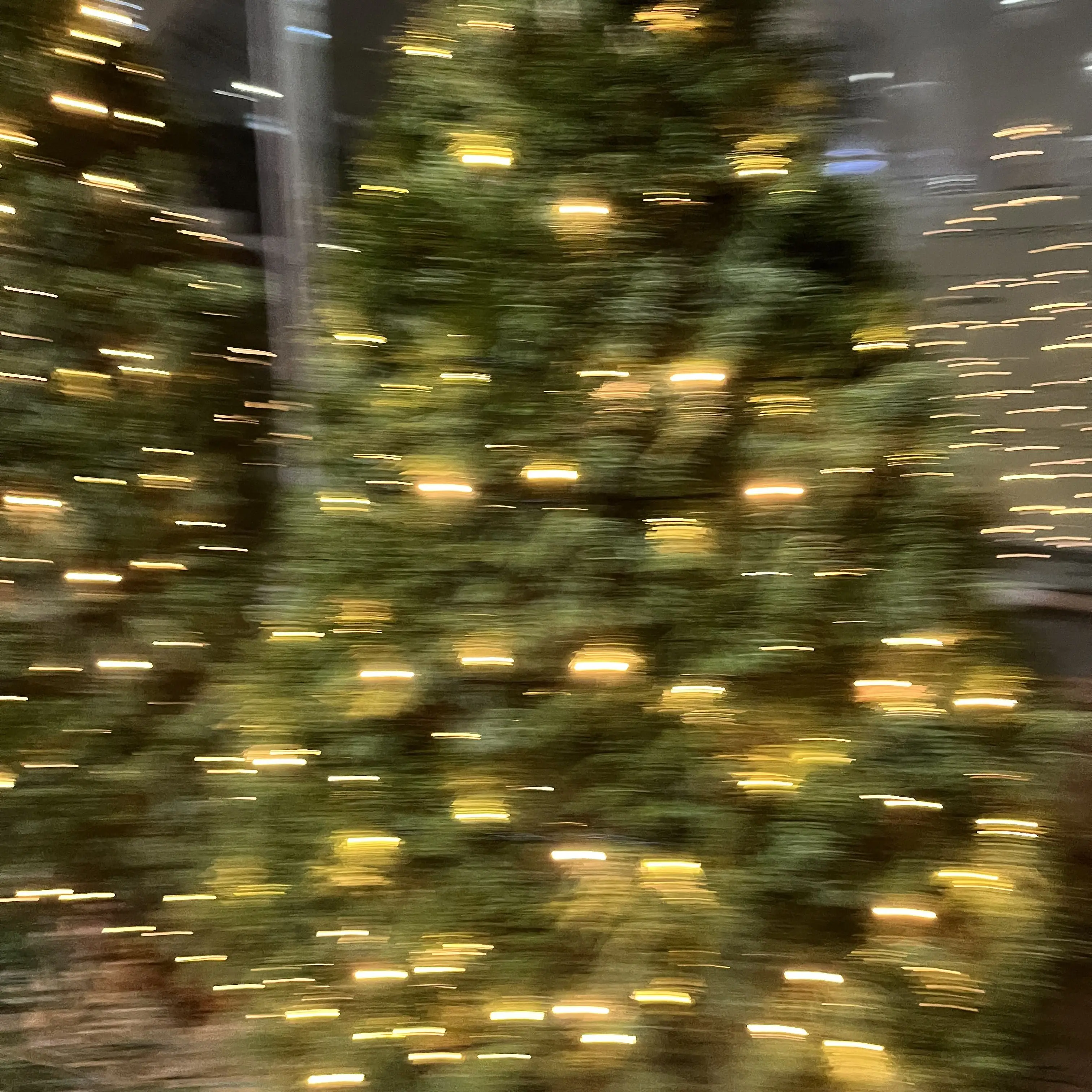 woonhak_jihoon의 슈돌 ㄱㅇㅎ