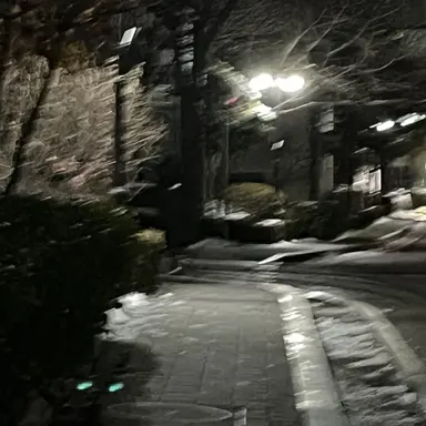 Profile image of 김 지 훈