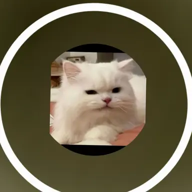 Profile image of 여우