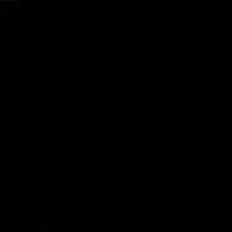 범규
