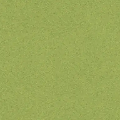 Profile image of 圭