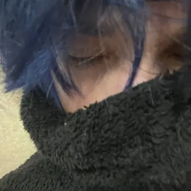 Profile image of Teddy