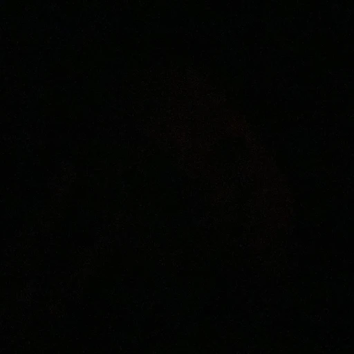 한유진