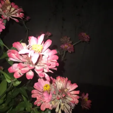 Profile image of ナムギュ