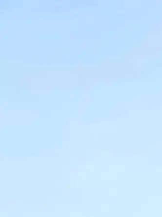 BRIIZE101의 라이즈