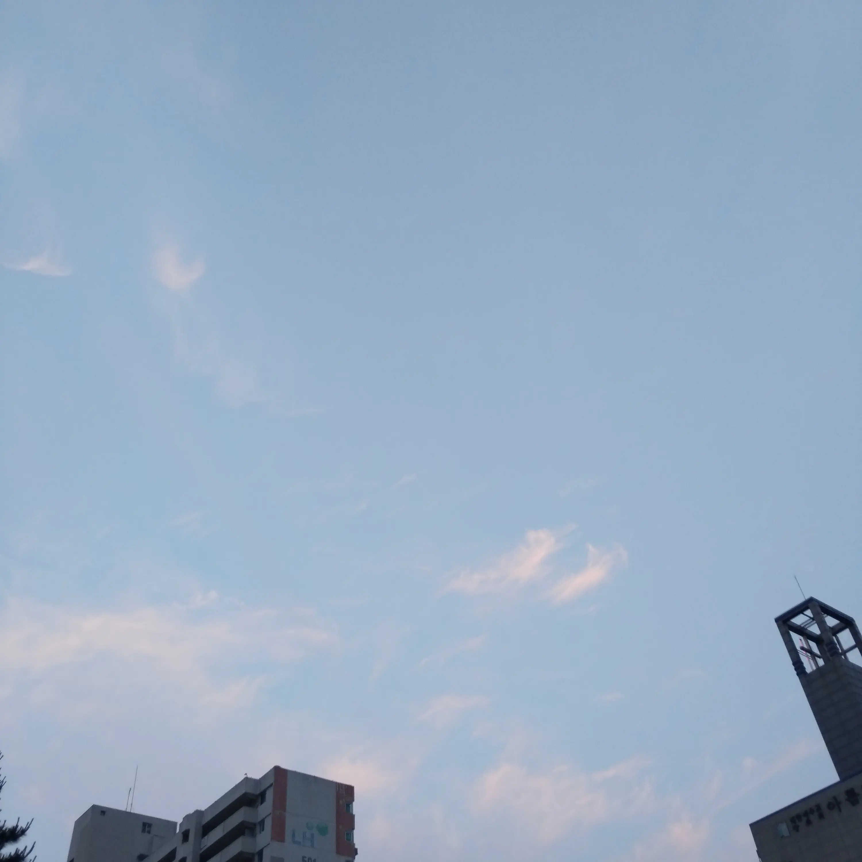 PerkyShard6885의 신수유치원