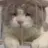나율