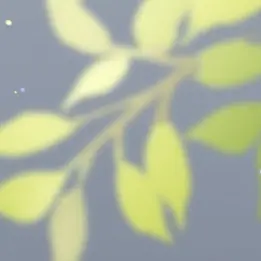Profile image of リスナー