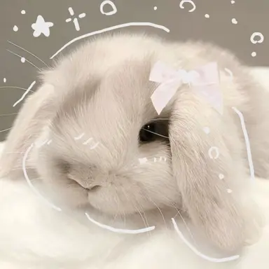 Profile image of Emmi