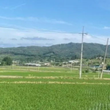 Profile image of 배견우