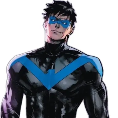 Profile image of Nightwing