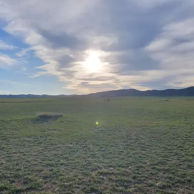 Profile image of 귀살대 시각장애인