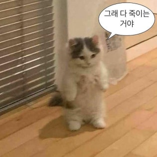 고고프렌즈계급 대표 이미지