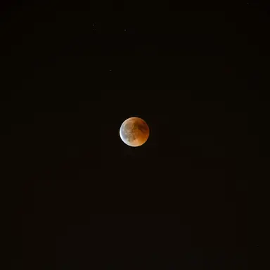 Profile image of 이안