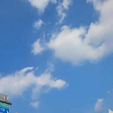 Profile image of 여우