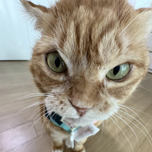 이동욱
