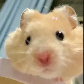 Profile image of 주인장