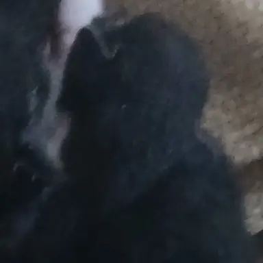 Profile image of 유저