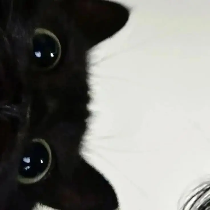 ActuallyPt.3의 前田 陸