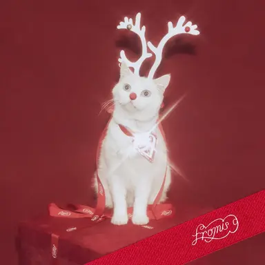 Profile image of 하영