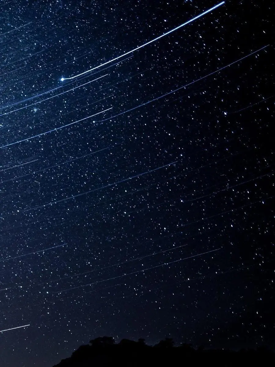 WickedXerus5523의 なんでも