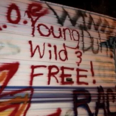 Profile image of Chandler