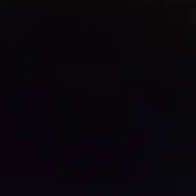 Profile image of 핑키