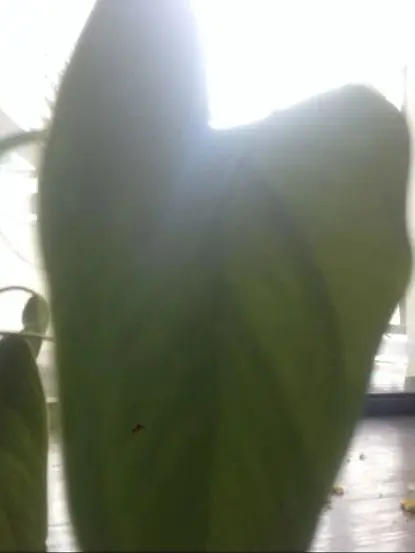 tuedec23의 홍민석