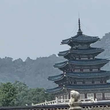 Profile image of 또이