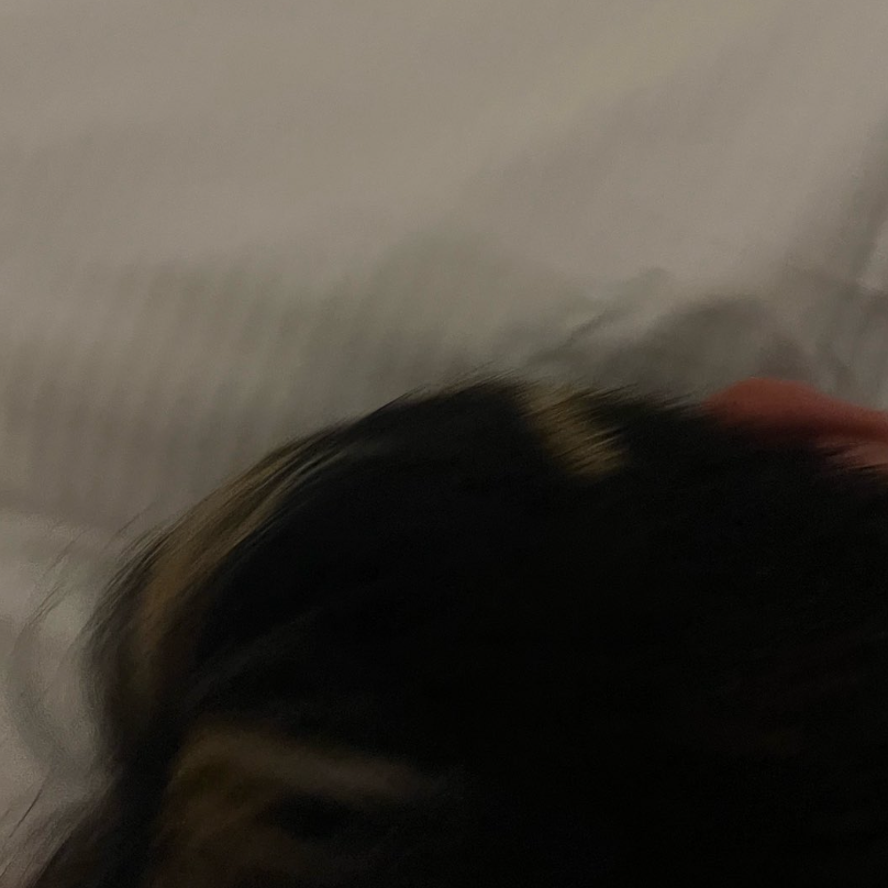 황인탁 대표 이미지