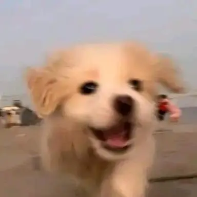 Profile image of 김규빈